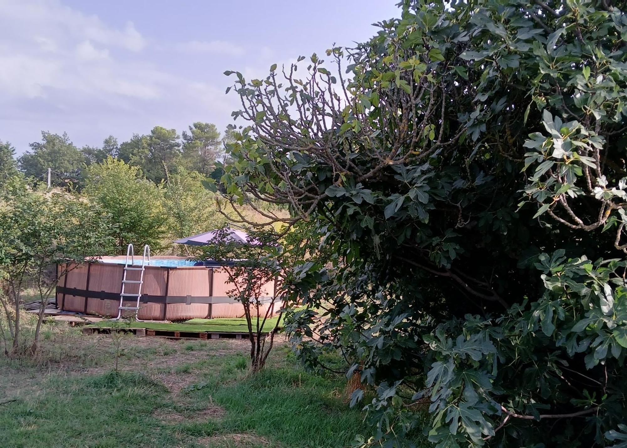 Villa Des Arnoux Dans La Vigne Draguignan Exteriör bild